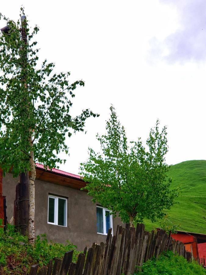 Guest House Data Ushguli Exterior photo