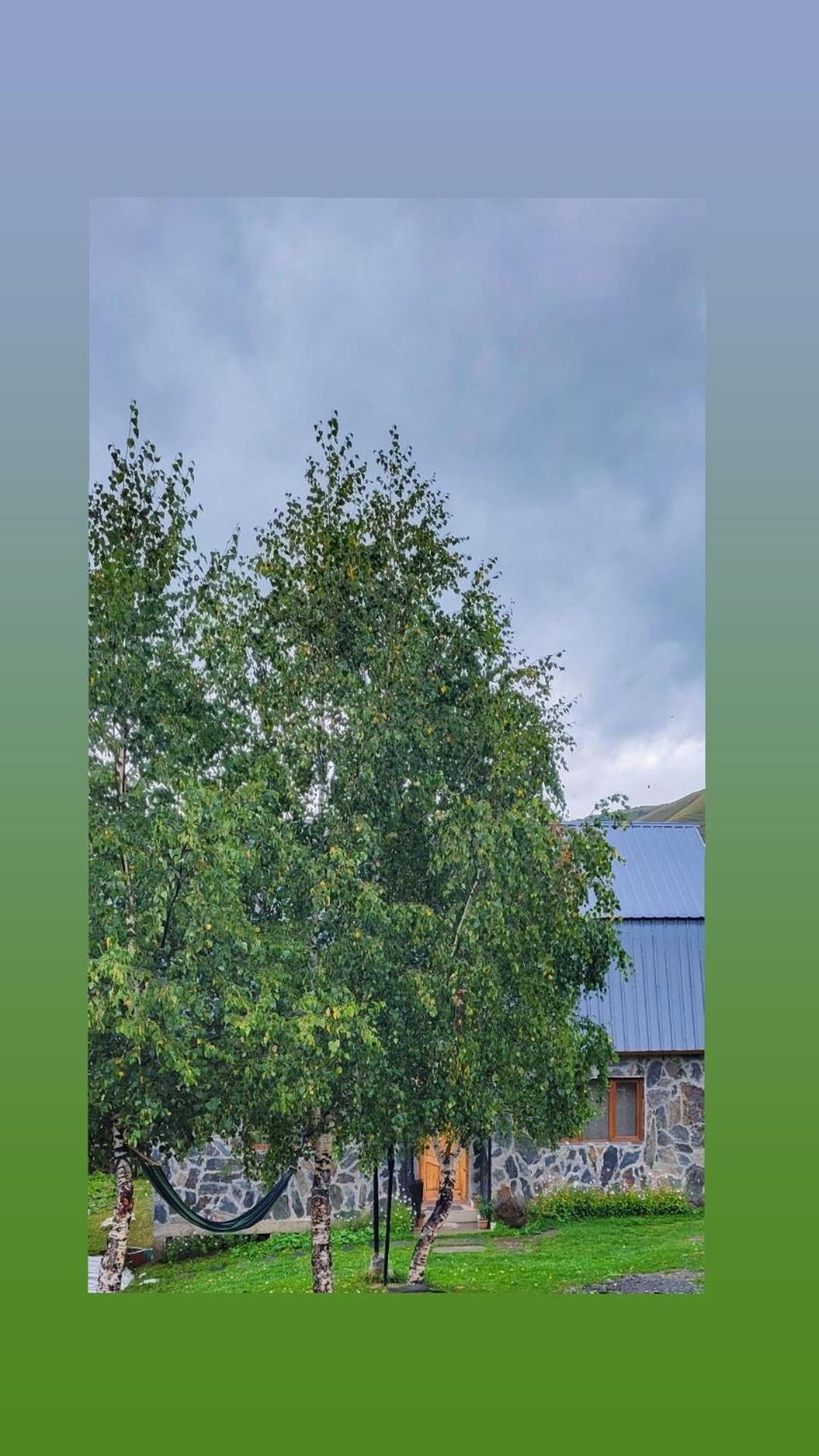 Guest House Data Ushguli Exterior photo